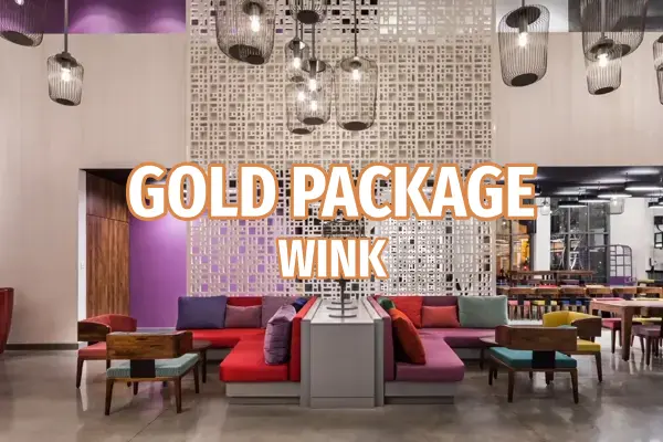 ASOT Vietnam 2026 - Gold - Wink